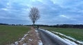 ze šwihu 6.3.2019